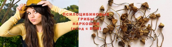 гашик Абинск