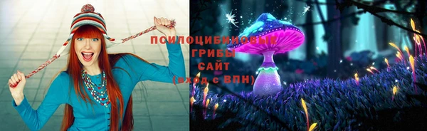 гидропоника Абдулино