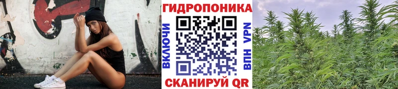 Канабис планчик  Советский 